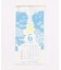 【カヤ】【２０２７年カレンダー】花暦