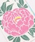 【カヤ】【２０２７年カレンダー】花暦