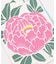 【カヤ】【２０２７年カレンダー】花暦
