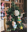 【欧州航路】【Fromウクライナ】クリスマススターオーナメント