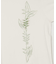 【マウナロア】ヘリコニアＴシャツ