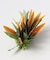 【マウナロア】パラダイスリーフクリップ