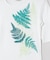 【マウナロア】ファーンＴシャツ（５分袖）