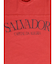 ケミカルウォッシュドルマンロゴTシャツ