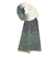 グラデーション ストール レディース
