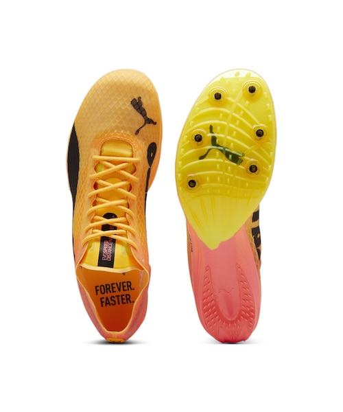 エヴォスピード ディスタンス ニトロ エリート+4 メンズ エヴォスピード ディスタンス ニトロ エリート+4 陸上用