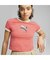 ウィメンズ イコール ラブ コンフェデレーション グラフィック 半袖 Tシャツ