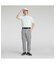 メンズ ゴルフ PF テック ライン カードボード パンツ PF TECH LINE CARDBOARD PANTS