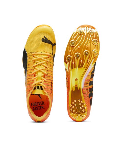 メンズ エヴォスピード スプリント ニトロ 2 陸上用 スパイク evoSPEED