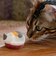 ミケ NEKO完全ワイヤレスイヤホン
