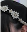 星レースサーモベレー