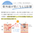 長傘 晴雨兼用 centelleo(センテリオ) バイカラー 手開き式 50cm UVカット率99.9％以上 遮光率100％ 遮熱効果 はっ水加工 MOC 57337
