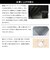 折りたたみ傘 晴雨兼用 innovator 53cm 手開き式 UVカット率100％ 遮光率100％ 遮熱効果 はっ水加工 コンパクト カラビナ付き バックルパーツ付き ブラック 18772