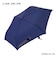 折りたたみ傘 雨傘 LINEDROPS 58cm 手開き式 メンズ 形状記憶加工 スパットシャット 約5秒でたたんでしまえる折りたたみ傘 たたみやすい 入れやすい収納ケース 軽量 スリム はっ水 6本骨 53660 53661