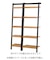 LADDER ラック 62