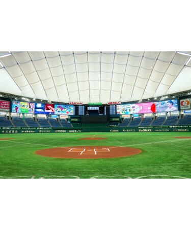 シーズンシート】2025年 東京ドーム 4月22日(火) 4/22 読売巨人 