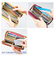 【当商品送料無料】長財布 COGIT コジット 通販 36カードたっぷり仕分け財布 財布 ウォレット レディース メンズ ラウンドファスナー カード