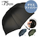 【当商品送料無料】傘 メンズ PROMENADE SKY 定番 スカイプロムナード かさ アンブレラ ジャンプ傘 ジャンプ 大きい ワンタッチ