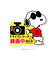 【当商品送料無料】ドライブレコーダー ドッグサイン ステッカー 後方 磁石 通販 マグネットサイン ドラレコ マグネット おしゃれ かわいい