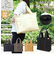 【当商品送料無料】トートバッグ レディース 大きめ 通販 キャンバス 通勤 通学 A4 横 無地 大きい 大容量 自立 仕切り ポケット メンズ