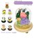 【当商品送料無料】プリザーブドフラワー ガラスドーム 通販 仏花 仏壇用 ブリザードフラワー プリザードフラワー お供え 花 枯れない お盆 彩華