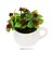 【当商品送料無料】光触媒 観葉植物 通販 卓上 フェイクグリーン おしゃれ フェイク 造花 フェイクフラワー かわいい 消臭 抗菌 防カビ ブーケ