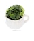 【当商品送料無料】光触媒 観葉植物 通販 卓上 フェイクグリーン おしゃれ フェイク 造花 フェイクフラワー かわいい 消臭 抗菌 防カビ ブーケ