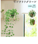 【当商品送料無料】光触媒 観葉植物 通販 フェイクグリーン おしゃれ 壁掛け フェイク 造花 吊り下げ ハンギング フック 壁 消臭 抗菌 防カビ