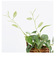 【当商品送料無料】光触媒 観葉植物 通販 フェイクグリーン おしゃれ 壁掛け フェイク 造花 吊り下げ ハンギング フック 壁 消臭 抗菌 防カビ