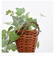 【当商品送料無料】光触媒 観葉植物 通販 フェイクグリーン おしゃれ 壁掛け フェイク 造花 吊り下げ ハンギング フック 壁 消臭 抗菌 防カビ