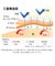 【当商品送料無料】肌着 ひだまり極 通販 メンズ 長ズボン レディース 暖かい 肌着上 下のみ ブランド 雪山 下着 インナーウェア 極み ズボン下