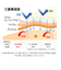 【当商品送料無料】肌着 ひだまり極 通販 メンズ 長ズボン レディース 暖かい 肌着上 下のみ ブランド 雪山 下着 インナーウェア 極み ズボン下