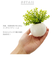 【当商品送料無料】光触媒 観葉植物 通販 フェイクグリーン ミニ インテリアグリーン リアル 小さめ おしゃれ 小さい 枯れない 造花 コンパクト
