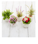 【当商品送料無料】光触媒 観葉植物 通販 フェイクグリーン ミニ インテリアグリーン リアル 小さめ おしゃれ 小さい 枯れない 造花 コンパクト