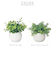 【当商品送料無料】光触媒 観葉植物 通販 フェイクグリーン ミニ インテリアグリーン リアル 小さめ おしゃれ 小さい 枯れない 造花 コンパクト