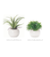 【当商品送料無料】光触媒 観葉植物 通販 フェイクグリーン ミニ インテリアグリーン リアル 小さめ おしゃれ 小さい 枯れない 造花 コンパクト