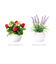 【当商品送料無料】光触媒 観葉植物 通販 フェイクグリーン ミニ インテリアグリーン リアル 小さめ おしゃれ 小さい 枯れない 造花 コンパクト