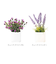【当商品送料無料】光触媒 観葉植物 通販 フェイクグリーン ミニ インテリアグリーン リアル 小さめ おしゃれ 小さい 枯れない 造花 コンパクト
