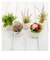 【当商品送料無料】光触媒 観葉植物 通販 フェイクグリーン ミニ インテリアグリーン リアル 小さめ おしゃれ 小さい 枯れない 造花 コンパクト