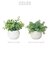 【当商品送料無料】光触媒 観葉植物 通販 フェイクグリーン ミニ インテリアグリーン リアル 小さめ おしゃれ 小さい 枯れない 造花 コンパクト