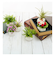 【当商品送料無料】光触媒 観葉植物 通販 フェイクグリーン ミニ インテリアグリーン リアル 小さめ おしゃれ 小さい 枯れない 造花 コンパクト