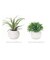 【当商品送料無料】光触媒 観葉植物 通販 フェイクグリーン ミニ インテリアグリーン リアル 小さめ おしゃれ 小さい 枯れない 造花 コンパクト