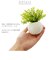 【当商品送料無料】光触媒 観葉植物 通販 フェイクグリーン ミニ インテリアグリーン リアル 小さめ おしゃれ 小さい 枯れない 造花 コンパクト