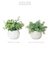 【当商品送料無料】光触媒 観葉植物 通販 フェイクグリーン ミニ インテリアグリーン リアル 小さめ おしゃれ 小さい 枯れない 造花 コンパクト