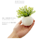 【当商品送料無料】光触媒 観葉植物 通販 フェイクグリーン ミニ インテリアグリーン リアル 小さめ おしゃれ 小さい 枯れない 造花 コンパクト