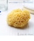 【当商品送料無料】ボディスポンジ Bellini ベリーニ 通販 天然海綿スポンジ 天然海綿 ハニコム種 SA16 Lサイズ 約14～16cm