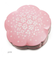 【当商品送料無料】重箱 初桜 hatsuzakura 桜 2段 お弁当箱 おしゃれ 通販 仕切り かわいい お重 行楽 弁当箱 ランチボックス