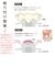 【当商品送料無料】抱っこ紐 首カックン防止 定番 ヘッドサポート 首カックンにならない頭あて 首かっくんにならない頭あて セパレートタイプ 頭あて