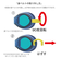 【当商品送料無料】ゴーグル 水泳 子供 通販 スワンズ SWANS スイムゴーグル 水中メガネ スイミングゴーグル 水中眼鏡 子供用 キッズ