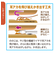 【当商品送料無料】ののじ 耳かき 通販 爽快ソフト耳かき レギュラー スモール 耳掻き 日本製 子供 子ども ワイヤー 耳掃除用品 小さめ 乾性耳